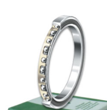 INA CSEG070 bearings